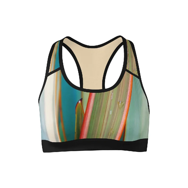 Master Every Pose With Premium Yoga Wear Deals Harakeke Sports Bra